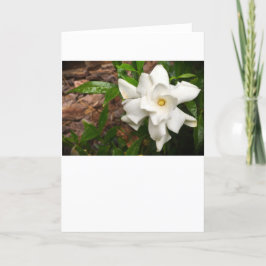 Gardenia, tarjeta
