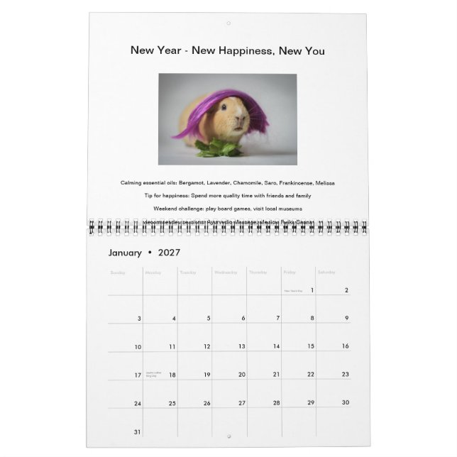 Garfunkel, el conejillo de Indias, calendario (Jan 2027)
