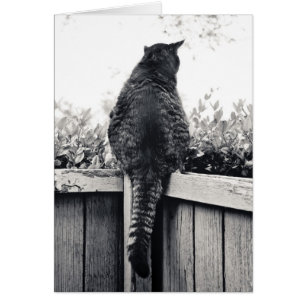 Gargoyle viviente