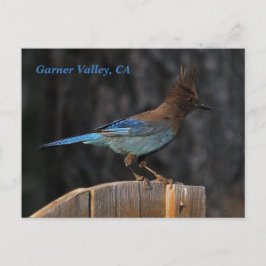 Garner Valley, postal de CA