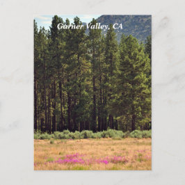 Garner Valley, postal de CA