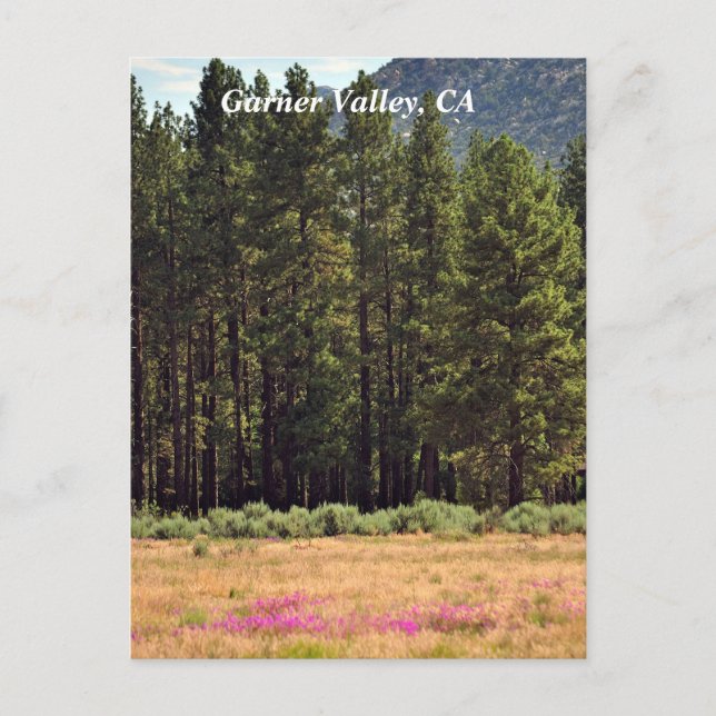 Garner Valley, postal de CA (Anverso)