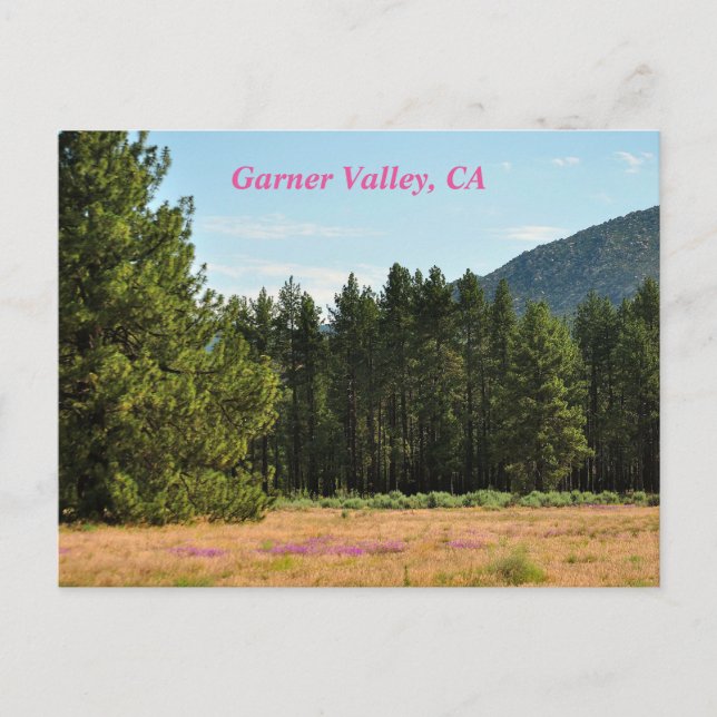 Garner Valley, postal de CA (Anverso)
