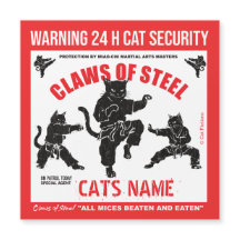 Garras de Acero Seguridad Personalizada para Gatos