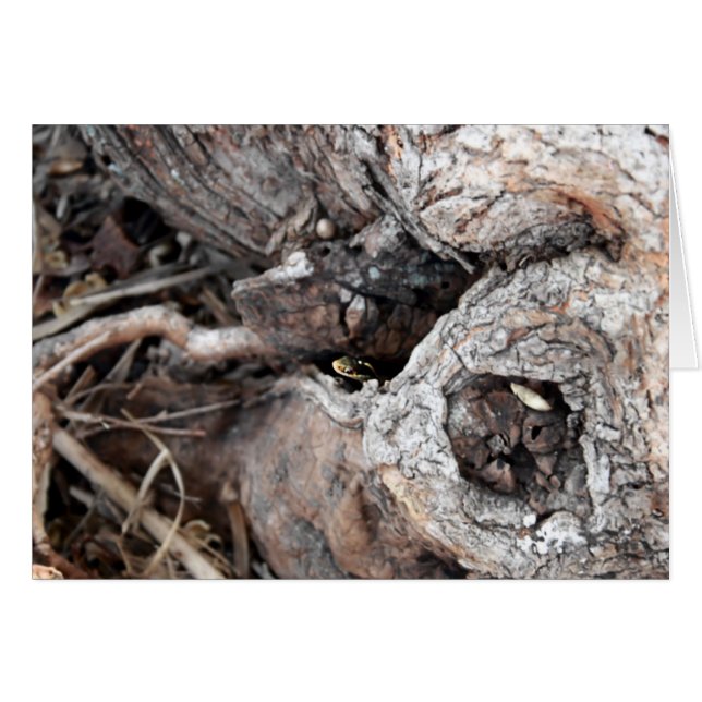 Garter Snake Card (Anverso (Horizontal))