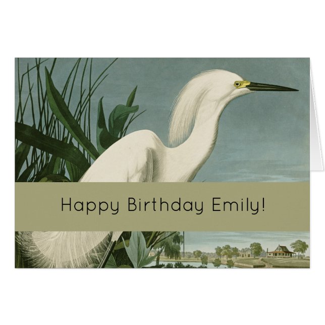 Garza Blanca de Audubon Ave Birding (Anverso (Horizontal))