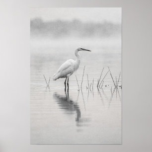 Garza Blanca en Póster en Blanco y Negro de Niebla