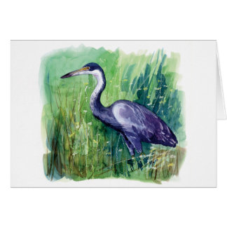 garza de cabeza negra