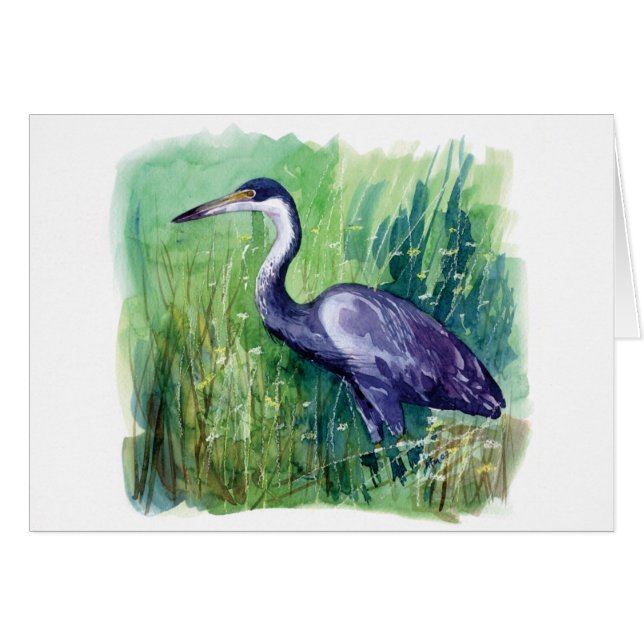garza de cabeza negra (Anverso (Horizontal))