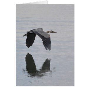 Garza de gran azul reflejada - tarjeta del arte de