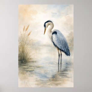 Garza del Marjal Silenciosa Garza Azul Póster