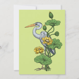 Garza en el jardín de loto amarillo sobre rocío