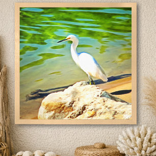 Garza En El Río Mismaloya 0335 Impresión De Arte