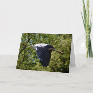 Garza gris que vuela la tarjeta de felicitación en