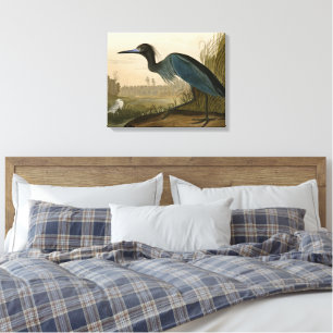Garza Grulla Azul Impresión de Audubon Arte Coster