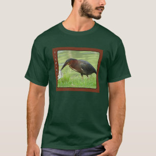 Garza verde con la camisa de los pescados