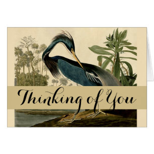 Garzas de Louisiana de Audubon Pájaros Arte Améric