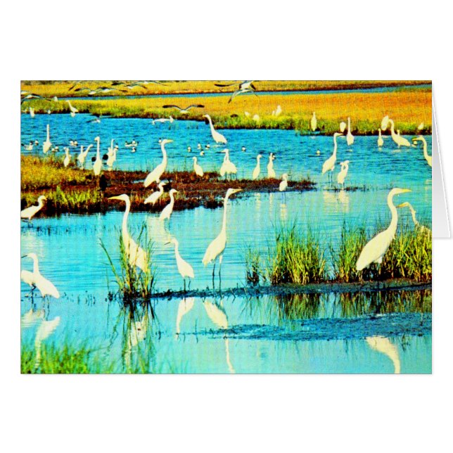 garzas nevadas (Anverso (Horizontal))