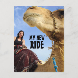 GASOLINA DEMASIADO COSTOSA NUEVA TARJETA RIDECAMEL