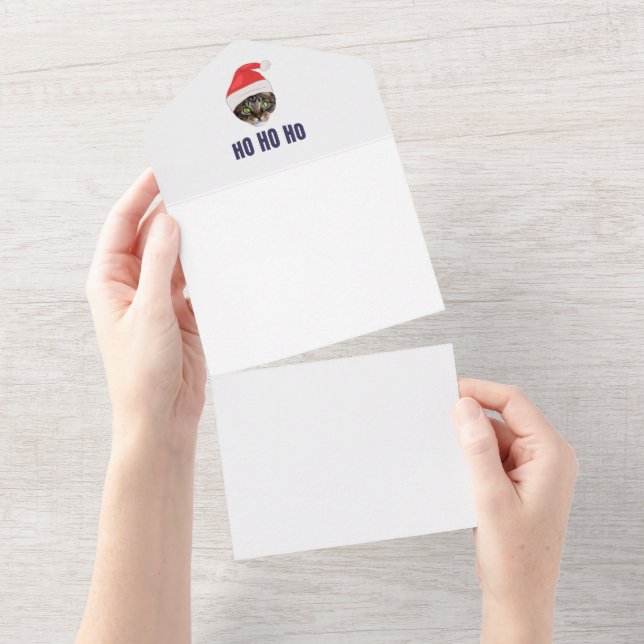 Gata de Santa con sombrero de Santa, Invitación Ho (desgarro)