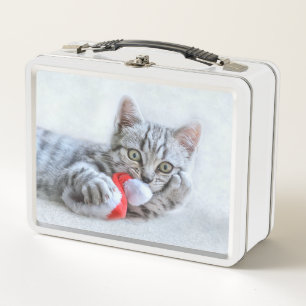 Gatito