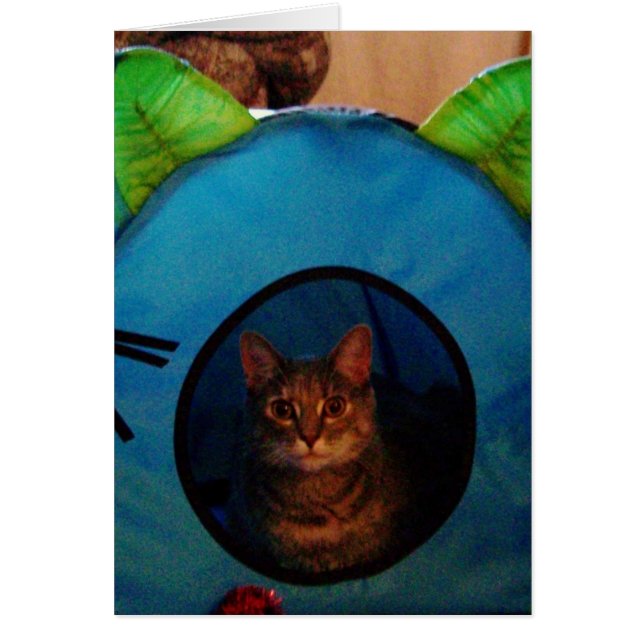 Gatito (Frente)