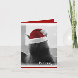 Gatito adorable del navidad