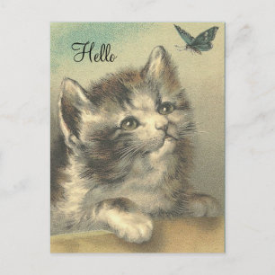 Gatito antiguo viendo Mariposa - Tarjeta Postal