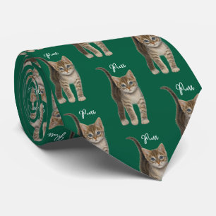 Gatito Atigrado Con Corbata De Texto