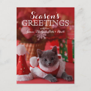 Gatito azul ruso y navidad