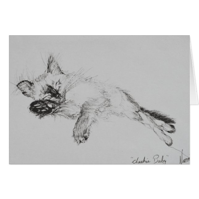 Gatito 'Baby (Anverso (Horizontal))