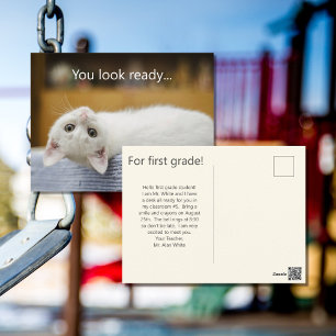 Gatito blanco bienvenido de vuelta a las postales 