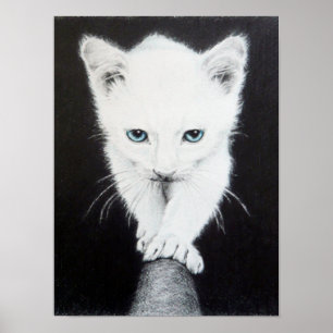 Gatito blanco lindo Arte de dibujo de animal Amant