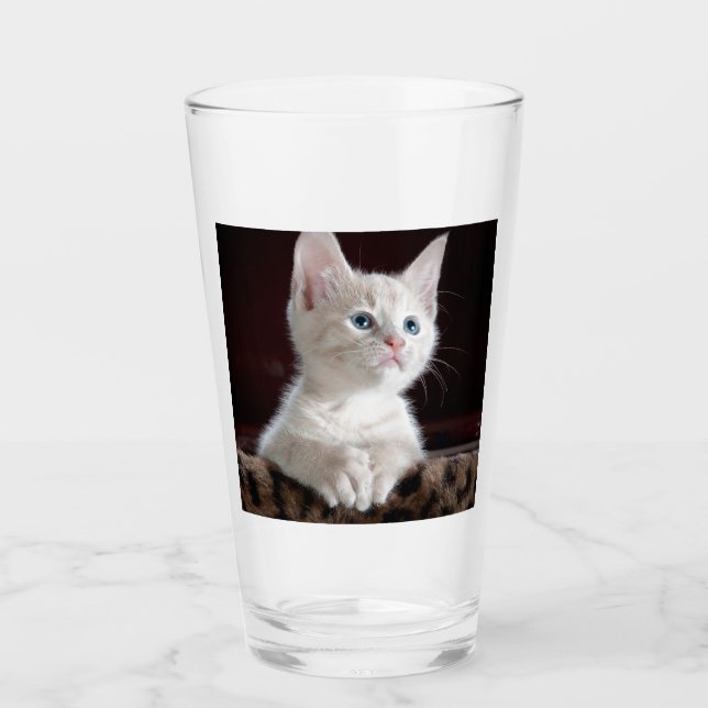 Gatito blanco vulnerable (Anverso)