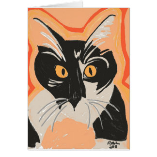 Gatito blanco y negro