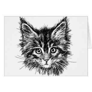 Gatito blanco y negro cara en blanco dentro