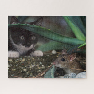 Gatito blanco y negro con rompecabezas del ratón