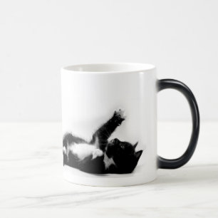Gatito blanco y negro en la taza cambiante del