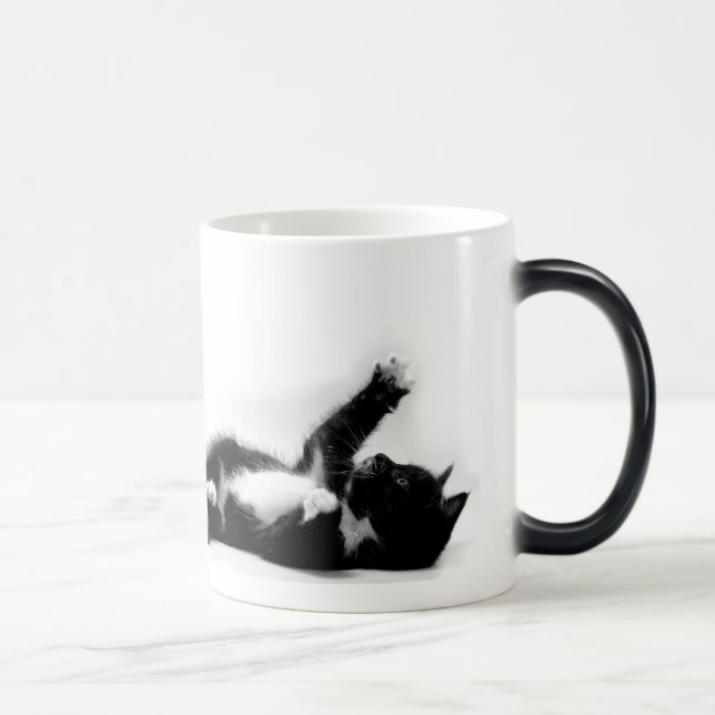 Gatito blanco y negro en la taza cambiante del (Derecha)