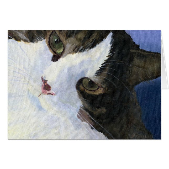 Gatito bonito (Anverso (Horizontal))