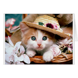 Gatito con gorra de paja.