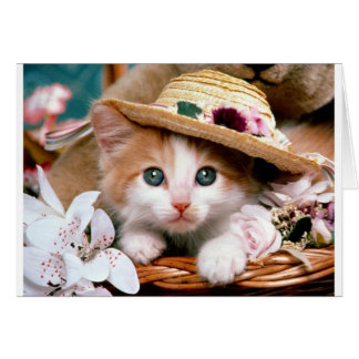 Gatito con gorra de paja.