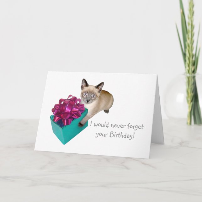 Gatito con tarjeta de cumpleaños actual (Anverso)
