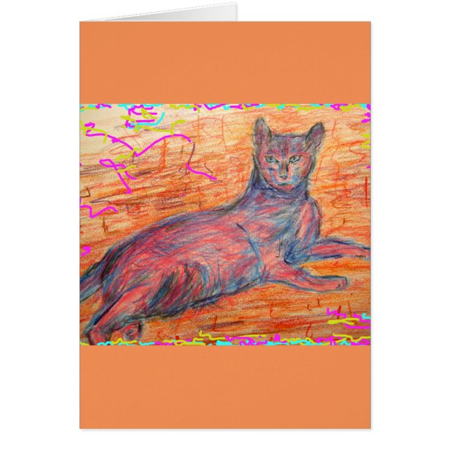 gatito de adoquines soleados (Frente)