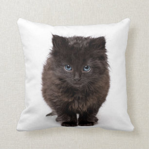 Gatito de bostezo lindo en una almohada