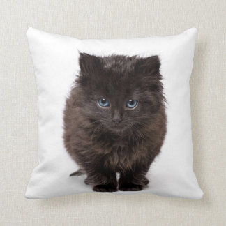 Gatito de bostezo lindo en una almohada