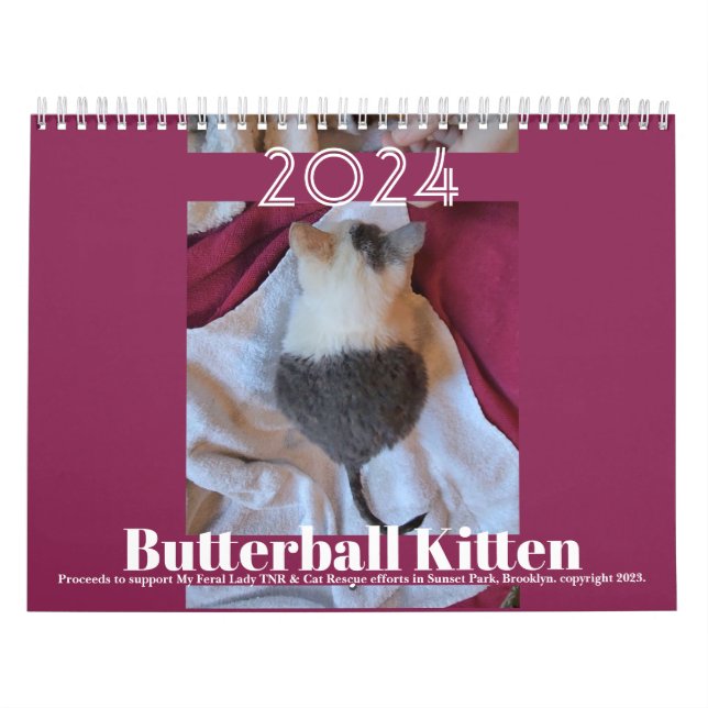 Gatito de Butterball: Calendario 2024 (Tapa)