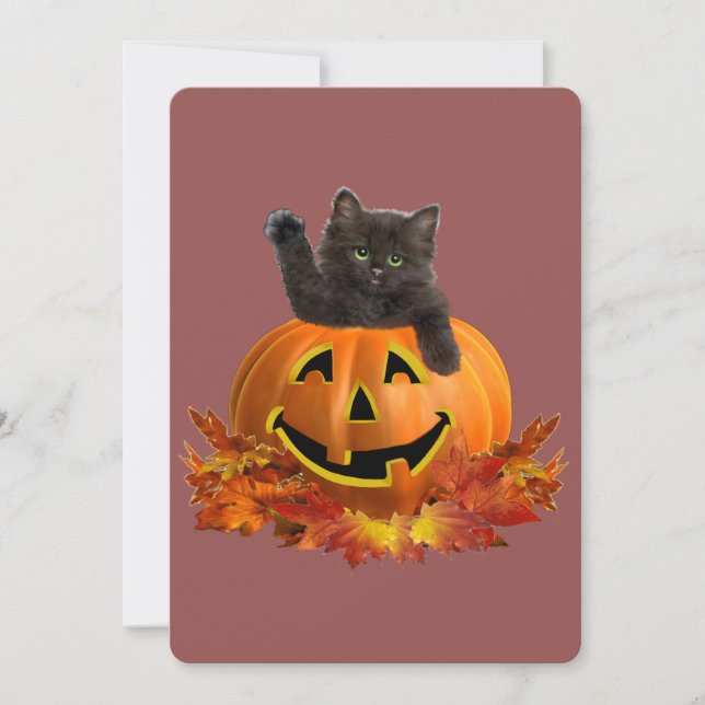 Gatito de Calabaza (Anverso)