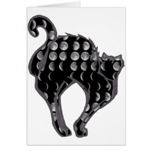 Gatito de la fase de la luna