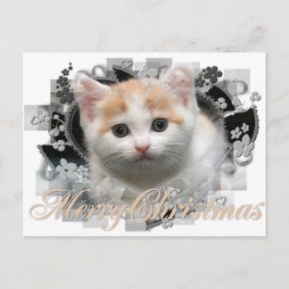 Gatito de Navidad Feliz - Postales de Navidad